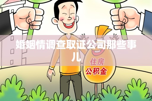 闽清婚姻情调查取证公司那些事儿
