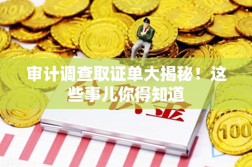闽清审计调查取证单大揭秘！这些事儿你得知道