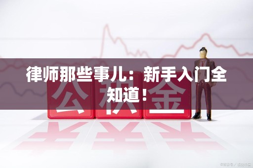 闽清律师那些事儿：新手入门全知道！