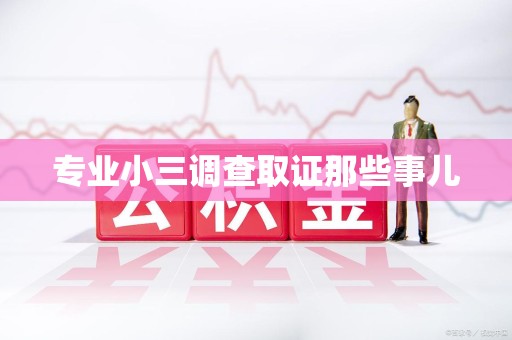闽清专业小三调查取证那些事儿