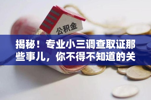 闽清揭秘！专业小三调查取证那些事儿，你不得不知道的关键点