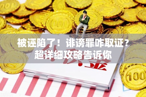 闽清被诬陷了！诽谤罪咋取证？超详细攻略告诉你