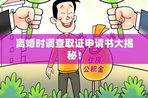 闽清离婚时调查取证申请书大揭秘！